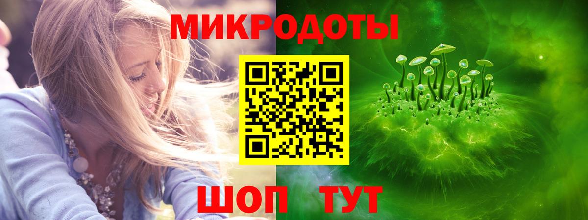 Псилоцибиновые грибы мухоморы Биробиджан